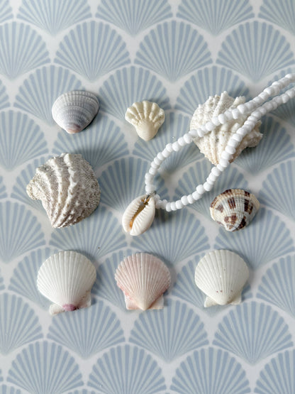 Cowrie Shell Necklace