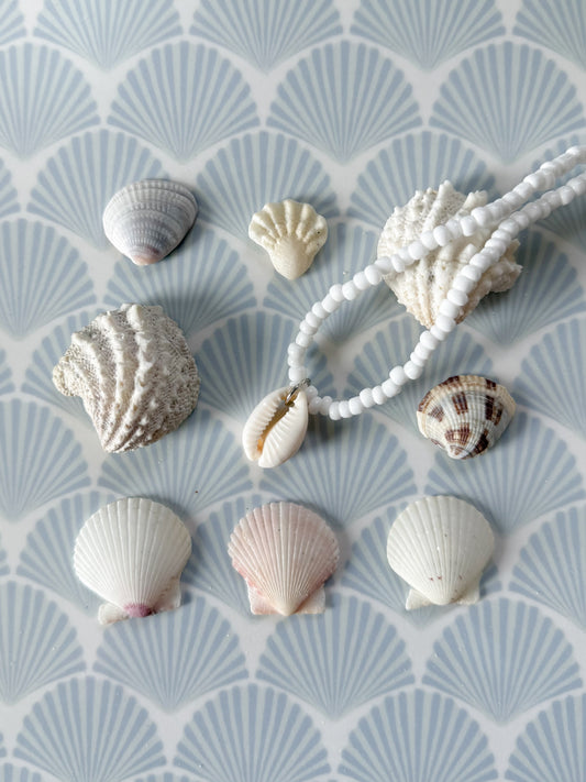 Cowrie Shell Necklace